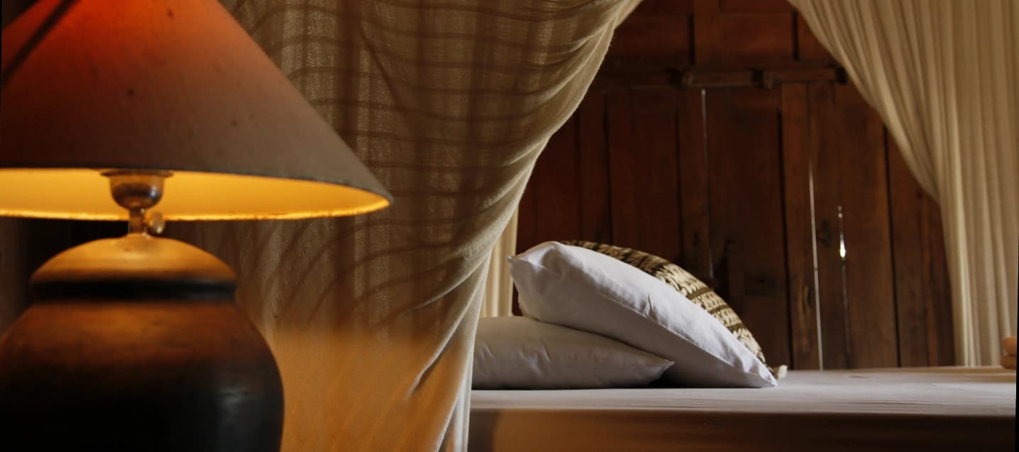 View of Kriyan Kidul House